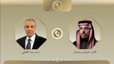 وزير الخارجية ونظيره السعودي يبحثان مستجدات الأوضاع في غزة وسوريا