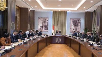 رئيس الوزراء يستعرض إصلاحات المنظومة الجمركية وجهود الحد من التهريب