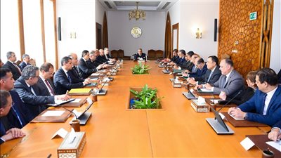 وزير الخارجية: تعزيز المصالح الوطنية ودعم المصريين بالخارج في ظل التحديات الإقليمية