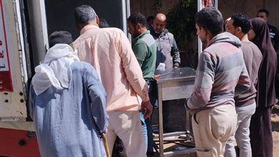 محافظ الدقهلية: قافلة سيارات اللحوم بسعر 260 جنيه للكيلو اليوم بمركز المنصورة 