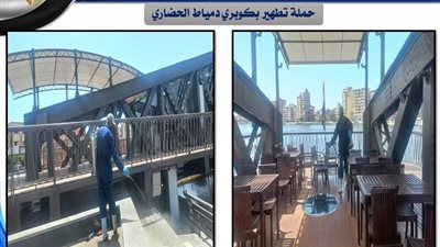 دمياط تكثف حملات مكافحة الحشرات وناقلات الأمراض استعدادًا للربيع والعيد