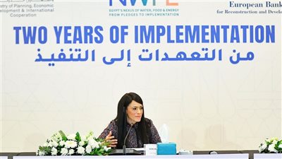  المشاط: برنامج «نُوَفِّي» يُدعم صياغة وتنفيذ سياسات الإصلاح الهيكلي للتحول الأخضر 