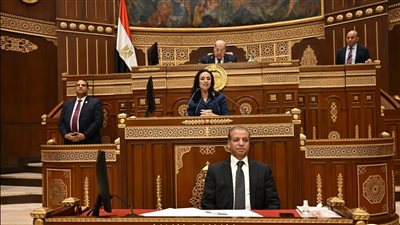 مجلس الشيوخ يناقش فعالية برامج الحماية الاجتماعية والتمكين الاقتصادي