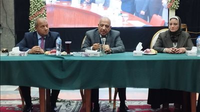 عصمت: فصل الشركة المصرية لنقل الكهرباء عن القابضة قبل نهاية العام الجاري