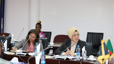 تحالف مصري زامبي مرتقب لتعزيز الشراكة الاقتصادية والبرلمانية