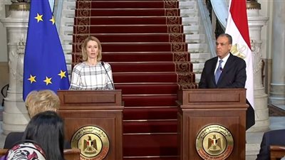 الاتحاد الأوروبي: ندعم وقف إطلاق النار بغزة وحل الدولتين 