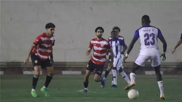 دوري المحترفين
