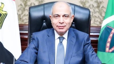 محافظ المنيا: رعاية الأطفال وتوفير الحياة الكريمة لهم مسئولية مجتمعية تتطلب تضافر الجهود