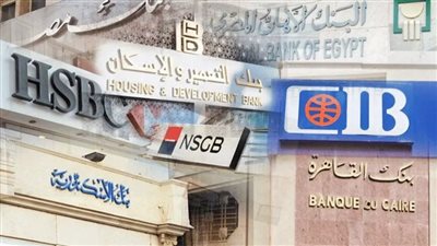 أعلى شهادات الادخار في البنوك المصرية بعائد يصل إلى 30%.. كيف تختار الأنسب؟