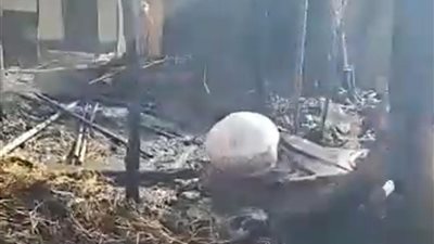 حريق هائل يلتهم مزرعة مواشي بطنطا يؤدي إلى نفوق 6 رؤوس ماشية