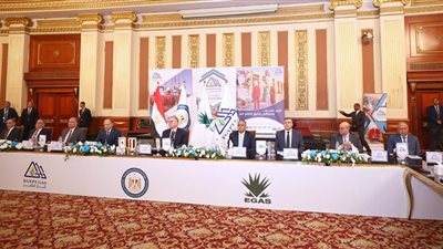 وزارة البترول تناقش اعتماد نتائج العام المالي 2024
