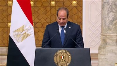 الرئيس السيسي يتابع تنفيذ خطط التغذية الكهربائية للمشروعات القومية