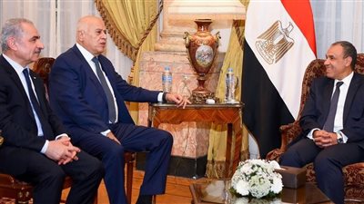 وزير الخارجية المصري: نرفض تفكيك وحدة الأراضي الفلسطينية وندين السياسات الإسرائيلية المتطرفة