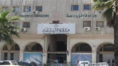 وزارة الزراعة: قطاع الدواجن استطاع تلبية كافة الاحتياجات دون عجز أو زيادة