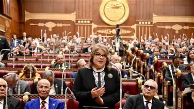 وكيلة مجلس الشيوخ: تحديث تشريعات شركات الأشخاص ضرورة اقتصادية لمواكبة تطورات العصر