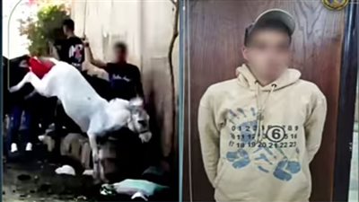 الداخلية تكشف حقيقة فيديو منطقة أبو الهول بالجيزة.. مفاجأة جديدة 