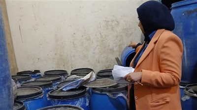  الدقهلية: ضبط أكثر من 5 طن أسماك وملح ومخللات