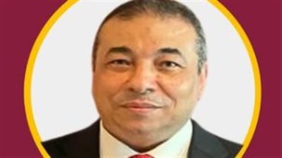 د. أشرف الفيشاوي: حكم المحكمة الدستورية أنهى جدل مسكن الحضانة نهائيا