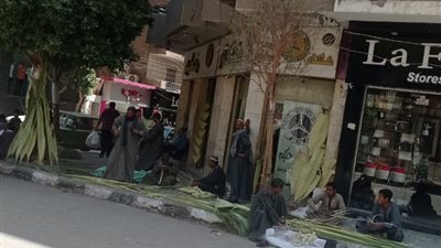باعة السعف ينشرون الفرح في شوارع أسيوط استعدادًا لأحد الشعانين غدا