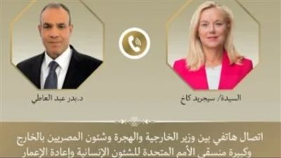 وزير الخارجية يتلقى اتصالًا من منسقة الأمم المتحدة للشئون الإنسانية وإعادة الإعمار في قطاع غزة