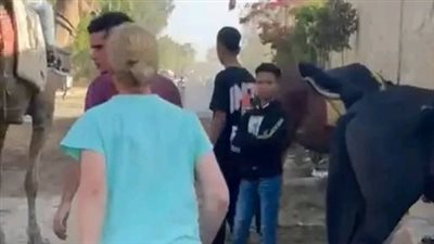 القبض على سيدة اعتدت على قاصر بعد واقعة تعذيب حمار بالهرم