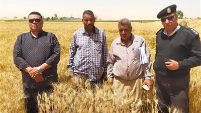الأقصر | استرداد 155 ألف و 309 متر مربع أراضي زراعية بمركز أرمنت