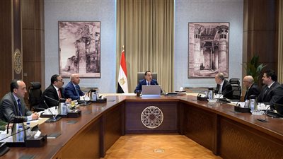مدبولي يبحث مع المنصور إنشاء مصنعين للسيارات والفلاتر باستثمارات ضخمة