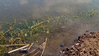  بيان عاجل من وزارة الموارد المائية والري حول غمر الأراضي الزراعية بالمياه