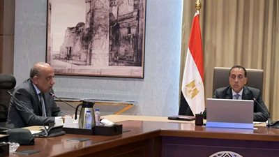 بتكليف رئاسي.. تسريع توصيل الكهرباء لمشروعات الاستصلاح الزراعي في 