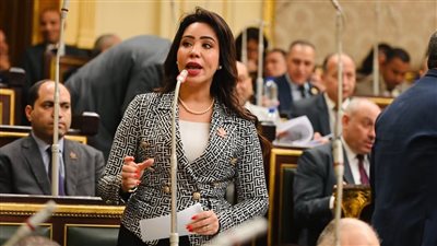 غادة علي: 476 مليار جنيه غرامات بسبب القروض غير المستغلة.. وأوصي برقابة صارمة على إدارة الدين