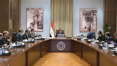 الحكومة: توافر السلع التموينية الأساسية بكميات آمنة وتوريد القمح يسير بوتيرة مرتفعة