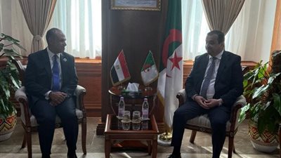 وزير الخارجية يؤكد دعم مصر الكامل لمشروعات الطاقة والبنية التحتية في الجزائر 