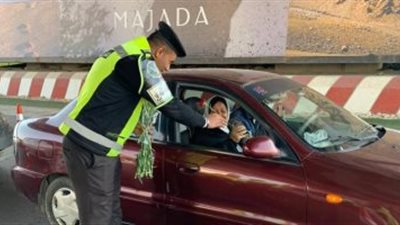 حبس وغرامات حتى 30 ألف جنيه.. تفاصيل تغليظ عقوبات المرور في مصر (فيديو)