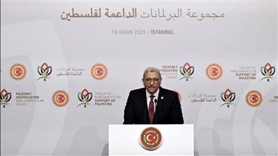 وكيل أول النواب: مصر ترفض أي أطروحات تهدف لتهجير الفلسطينيين