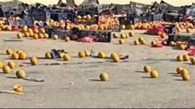 توقف جزئي للطريق بعد انقلاب شاحنة محملة بالبرتقال على طريق الإسماعيلية