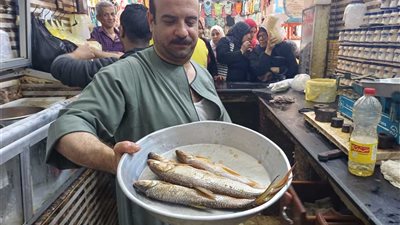 أسعار الفسيخ والرنجة تُشعل الأسواق قبيل شم النسيم التفاصيل كاملة
