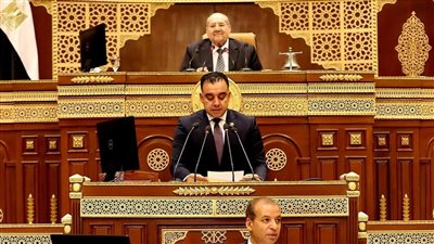 الشيوخ يقر توصيات لجنة الزراعة بشأن الأمن الغذائي في مصر لعام 2025 ويُحيلها للحكومة