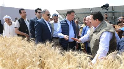 وزير الزراعة ومحافظ الشرقية يفتتحان موسم حصاد القمح ويعززان الأمن الغذائي للمجتمعات الريفية