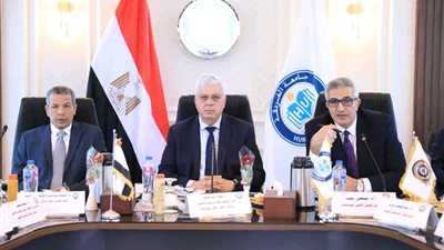 وزير التعليم العالي يؤكد على تعزيز التعليم في سيناء وجذب الطلاب الدوليين