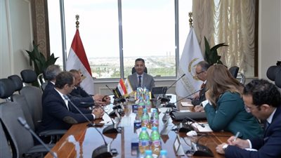 وزير التموين يتابع نسب تنفيذ مشروع المخازن الاستراتيجية بالصعيد مع قيادات أوراسكوم