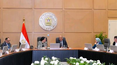 وزيرا الكهرباء والبيئة يتفقان على توافق مشروعات الطاقة المتجددة مع حماية مسارات الطيور المهاجرة