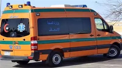 طالب ثانوي ينهي حياة شقيقه الأكبر دفاعًا عن والدته في الشرقية