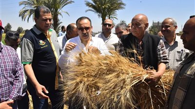 محافظ أسيوط: توريد 19,798 طن قمح وحصاد 37,730 فدانًا منذ انطلاق موسم 2025