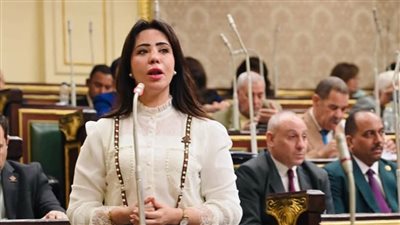 غادة علي: قانون الثروات المعدنية نقلة نوعية لتعظيم الاستراتيجية التعدينية داخليًا وخارجيًا
