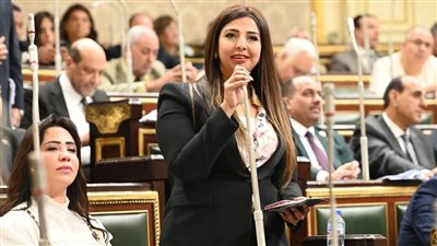 نشوى الشريف: قانون الثروة المعدنية يقلل الاستيراد ويوفر 2 مليار دولار سنويًا