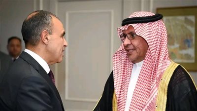 وزير الخارجية والهجرة يستقبل أمين مجلس التنسيق الأعلى المصري السعودي