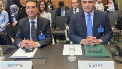 مندوب مصر أمام محكمة العدل الدولية: نؤكد على حق الشعب الفلسطيني في تقرير مصيره وإقامة دولته