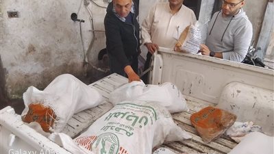  ضبط لحوم غير الصالحة للاستهلاك الآدمي بدسوق