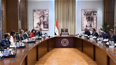  مدبولي يستعرض مشروع تطوير المنظومة الالكترونية لإنهاء إجراءات وصول السائحين للمطارات المصرية