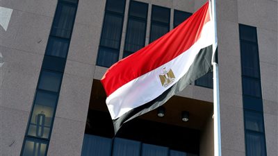 شبكة 